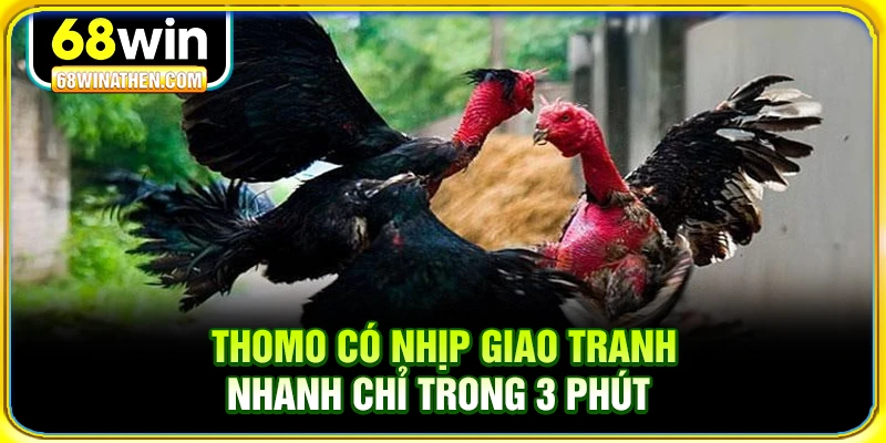 Thomo có nhịp giao tranh nhanh chỉ trong 3 phút